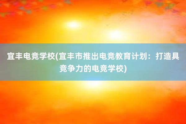 宜丰电竞学校(宜丰市推出电竞教育计划：打造具竞争力的电竞学校)