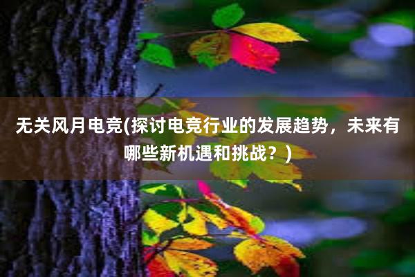 无关风月电竞(探讨电竞行业的发展趋势，未来有哪些新机遇和挑战？)