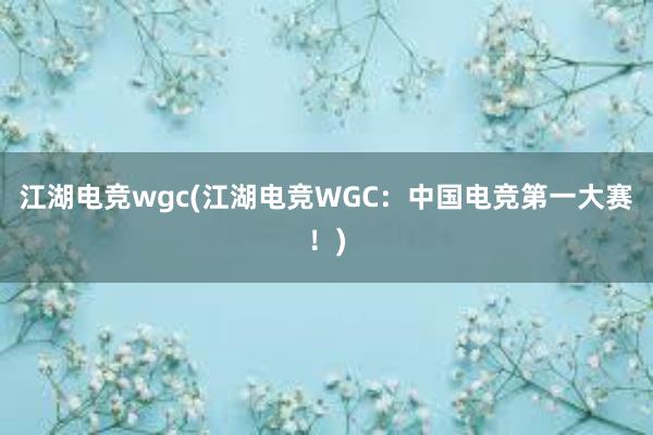 江湖电竞wgc(江湖电竞WGC：中国电竞第一大赛！)