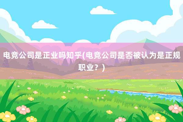 电竞公司是正业吗知乎(电竞公司是否被认为是正规职业？)