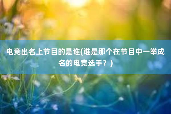 电竞出名上节目的是谁(谁是那个在节目中一举成名的电竞选手？)