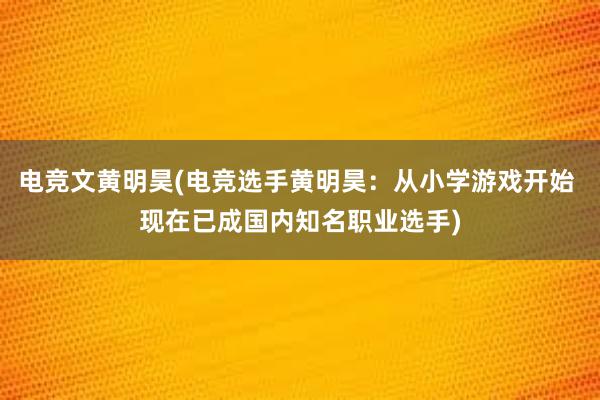 电竞文黄明昊(电竞选手黄明昊：从小学游戏开始 现在已成国内知名职业选手)