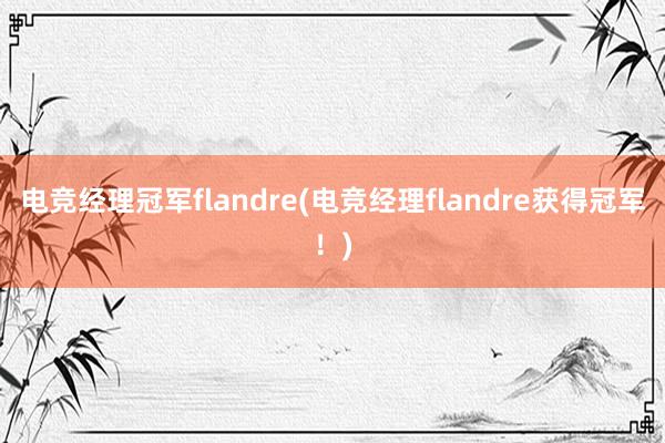 电竞经理冠军flandre(电竞经理flandre获得冠军！)