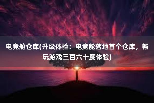 电竞舱仓库(升级体验：电竞舱落地首个仓库，畅玩游戏三百六十度体验)