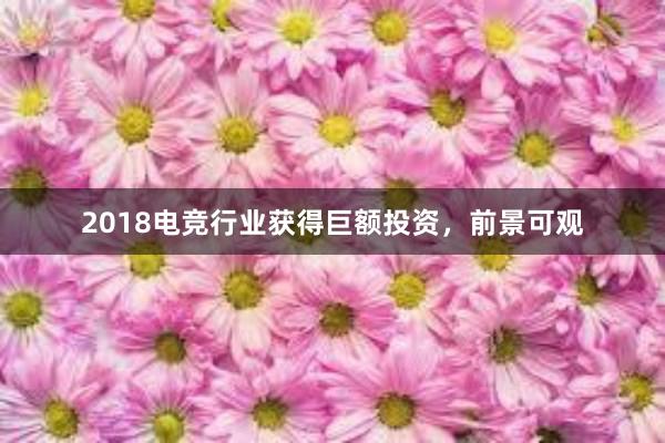 2018电竞行业获得巨额投资，前景可观