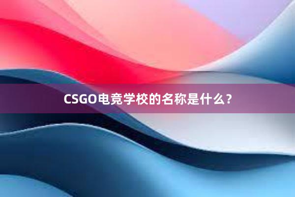 CSGO电竞学校的名称是什么？