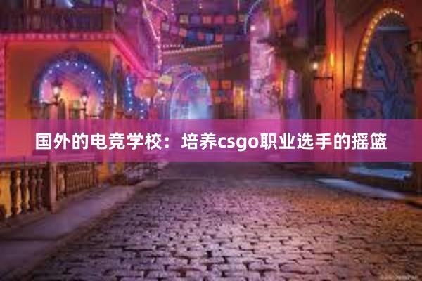 国外的电竞学校：培养csgo职业选手的摇篮