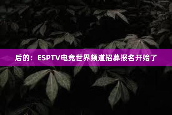 后的：ESPTV电竞世界频道招募报名开始了