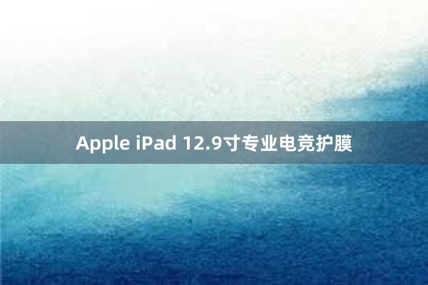 Apple iPad 12.9寸专业电竞护膜