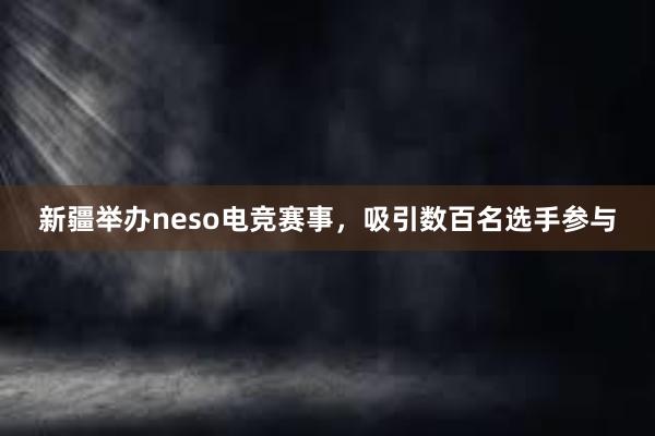 新疆举办neso电竞赛事，吸引数百名选手参与