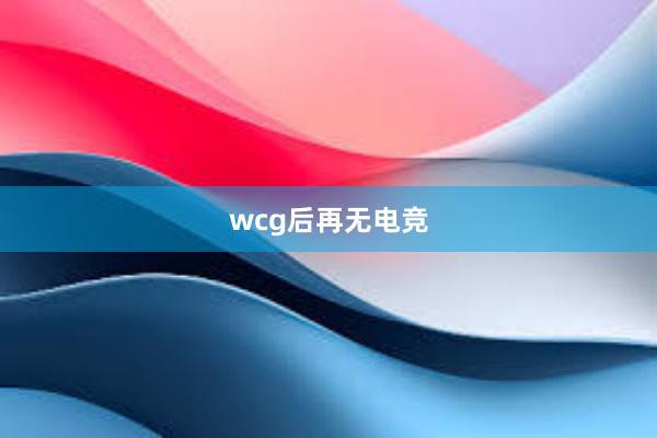 wcg后再无电竞