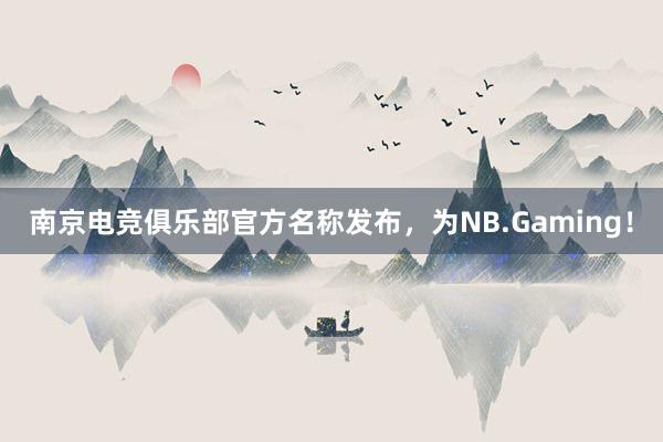 南京电竞俱乐部官方名称发布，为NB.Gaming！