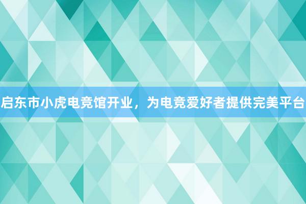 启东市小虎电竞馆开业，为电竞爱好者提供完美平台