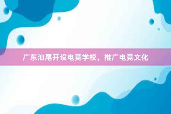 广东汕尾开设电竞学校，推广电竞文化