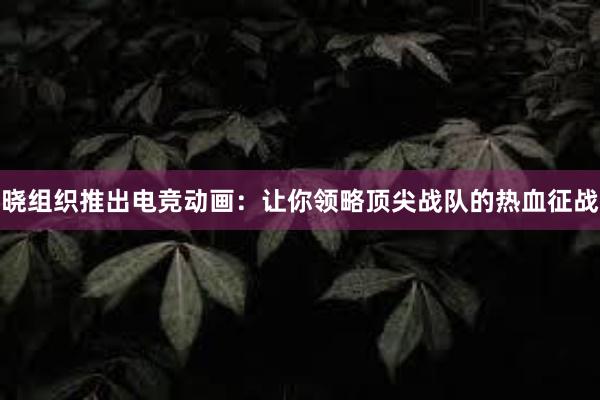 晓组织推出电竞动画：让你领略顶尖战队的热血征战