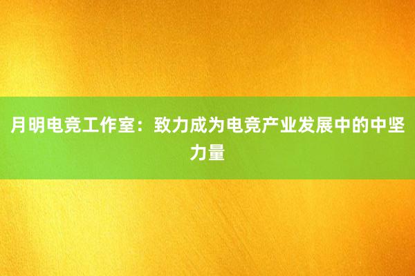 月明电竞工作室：致力成为电竞产业发展中的中坚力量