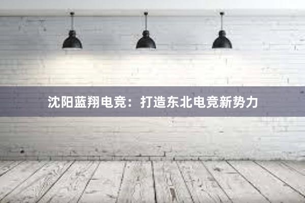 沈阳蓝翔电竞：打造东北电竞新势力