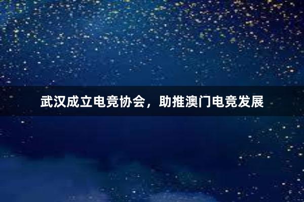 武汉成立电竞协会，助推澳门电竞发展