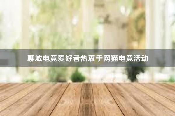 聊城电竞爱好者热衷于网猫电竞活动