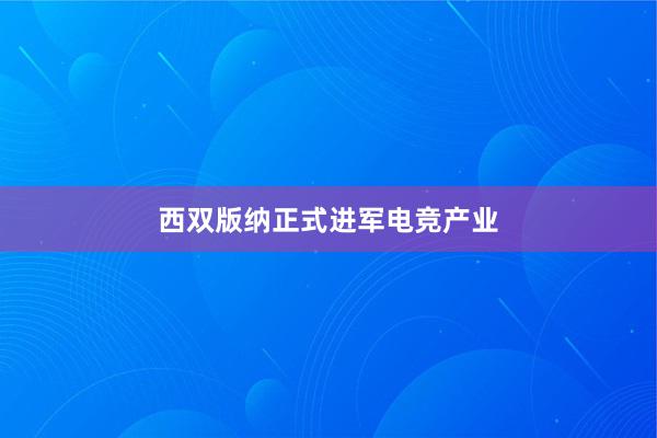 西双版纳正式进军电竞产业